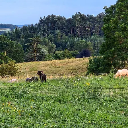 Mickledale & Langriggs At Wetheral بيت للعطل Great Salkeld